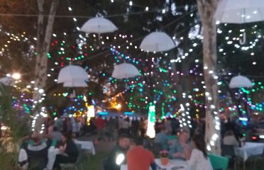 NG Wolkberg Tzaneen