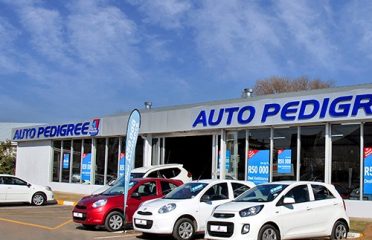 Auto Pedigree Qwa-Qwa