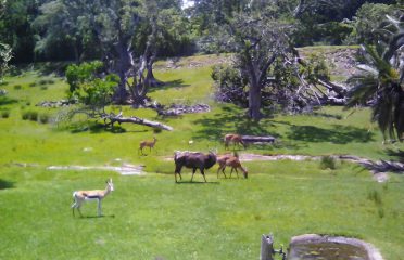East London Zoo