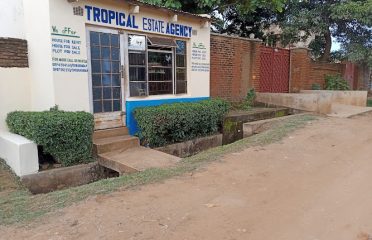 Tropical Properties